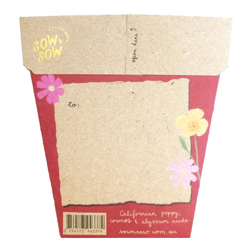 Christmas Wildflowers Gift of Seeds (Australia only)