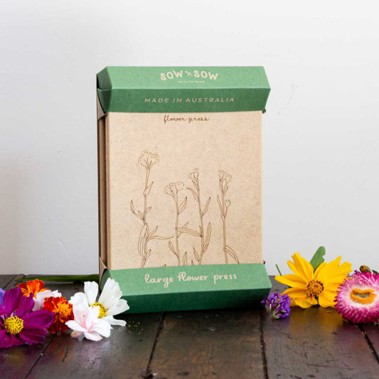 Flower Press 'Billy Buttons'