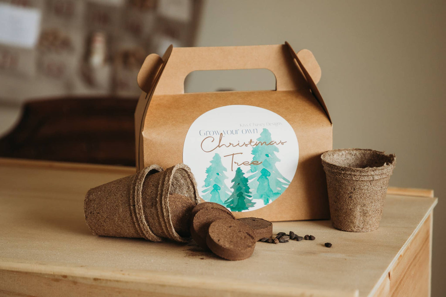 Grow Your Own Christmas Tree Kit