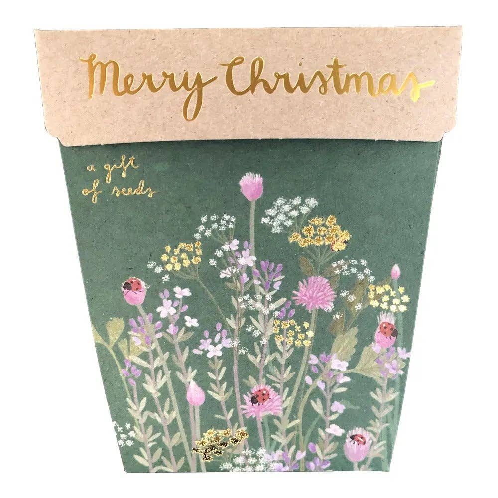 Christmas Herbs Gift of Seeds (Australia Only)