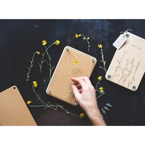 Flower Press 'Billy Buttons'